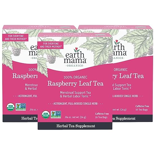 Earth Mama Organic Raspberry Leaf Tea Bags | Labor Tonic & Menstrual Support Herbal Tea, Red Raspberry Leaf Tea for Pregnancy & Postpartum Care Recovery, Caffeine Free Tea, Non GMO, (16 Teabags, 3-Pk)